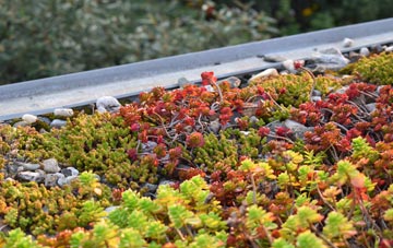 the cost of Sutton Scotney green roof installation